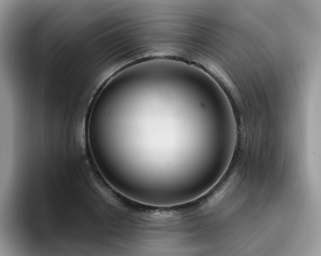 X0000094940842200711291352