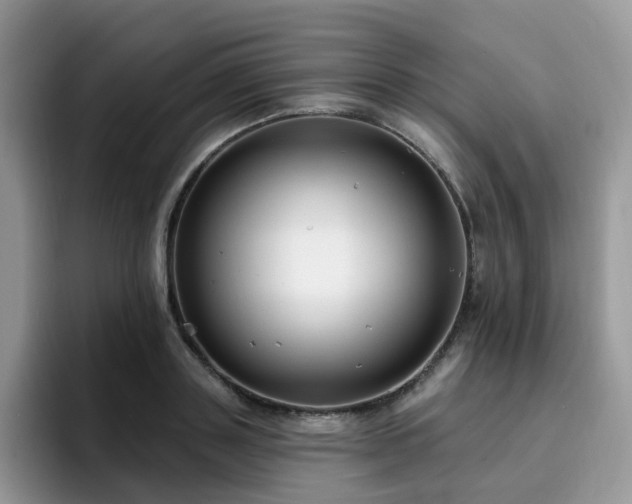 X0000094940843200711291352