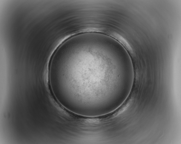 X0000094940844200711291352