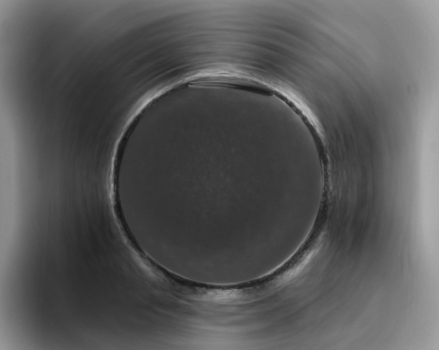 X0000094940845200711291352