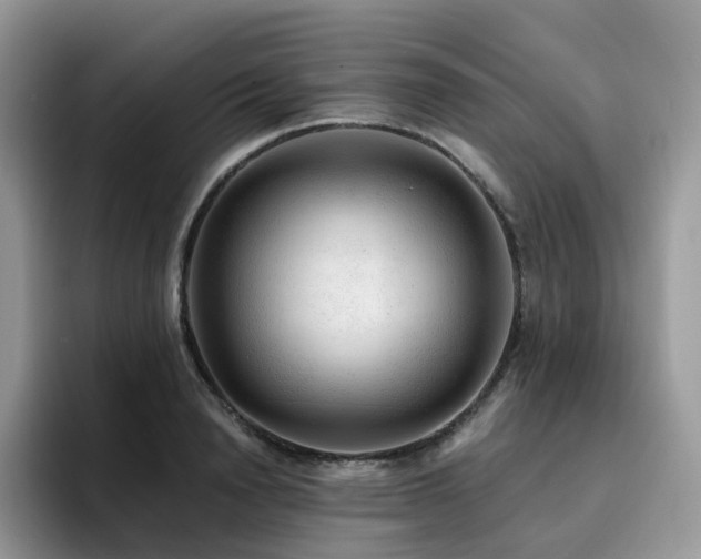X0000094940846200711291352