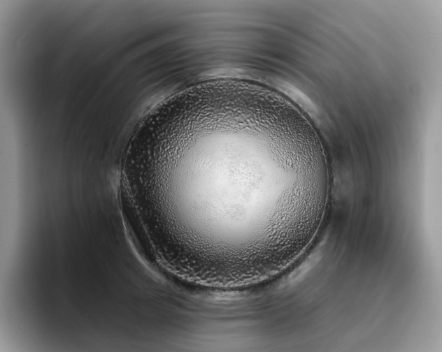 X0000094940849200711291352