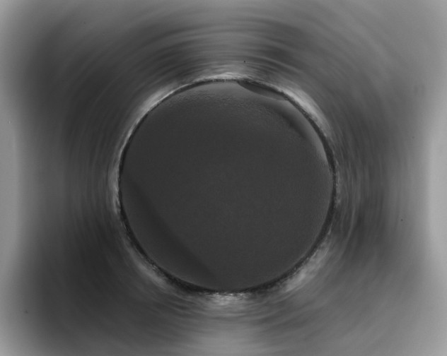 X0000094940850200711291352