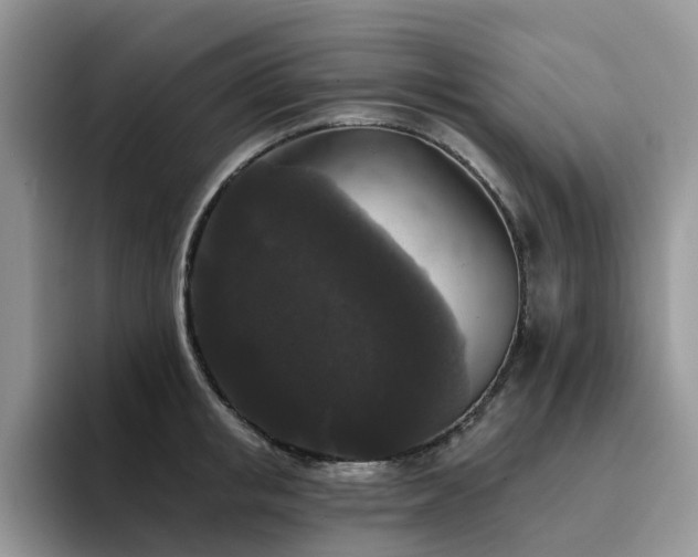X0000094940853200711291352