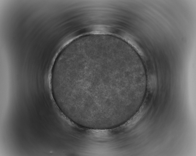 X0000094940856200711291352