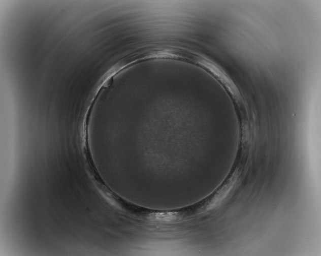X0000094940858200711291352