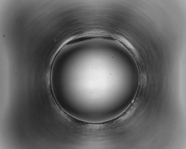 X0000094940860200711291352
