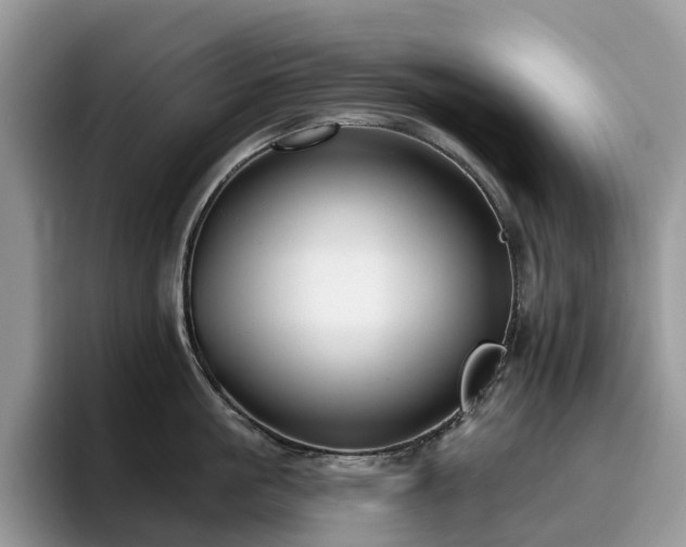 X0000094940861200711291352