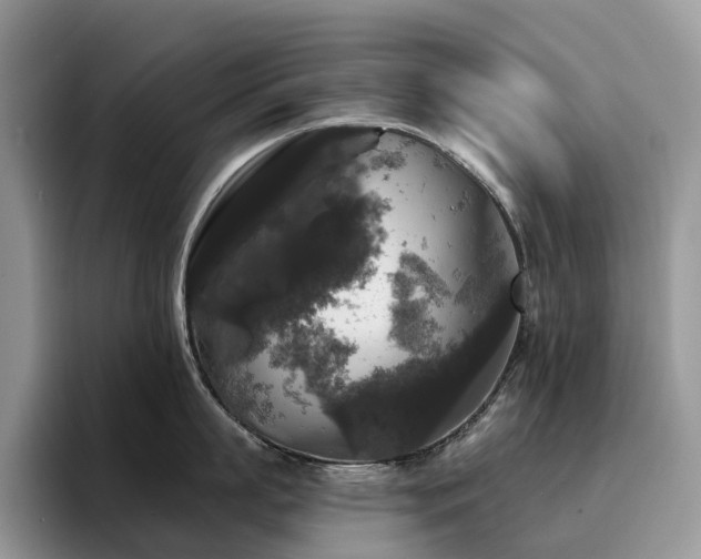 X0000094940863200711291352