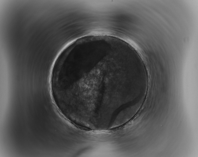 X0000094940864200711291352