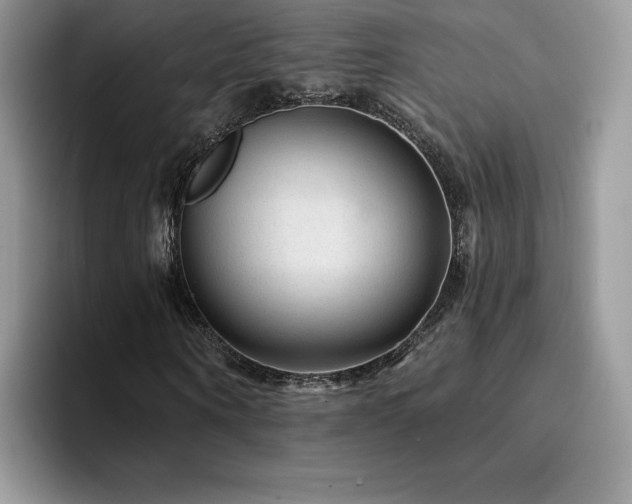 X0000094940866200711291351