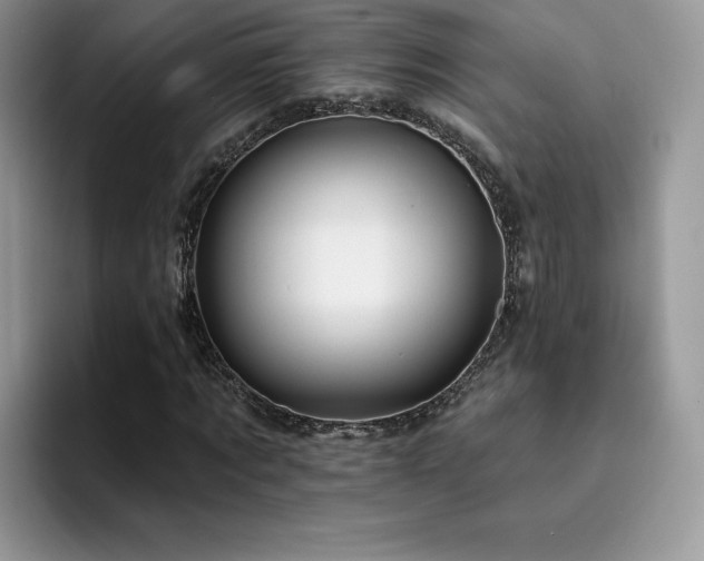 X0000094940869200711291351