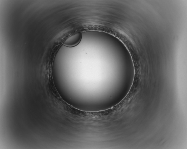 X0000094940870200711291351
