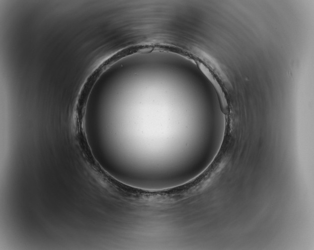 X0000094940876200711291351