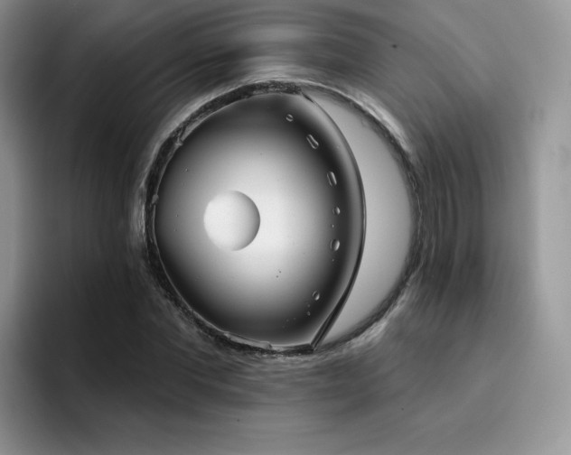 X0000094940877200711291351