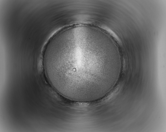 X0000094940878200711291351