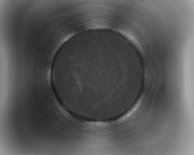 X0000094940881200711291351