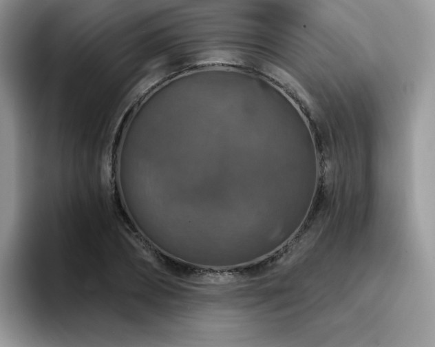 X0000094940882200711291351
