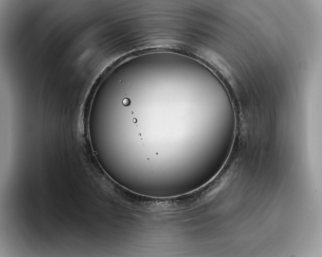 X0000094940883200711291351