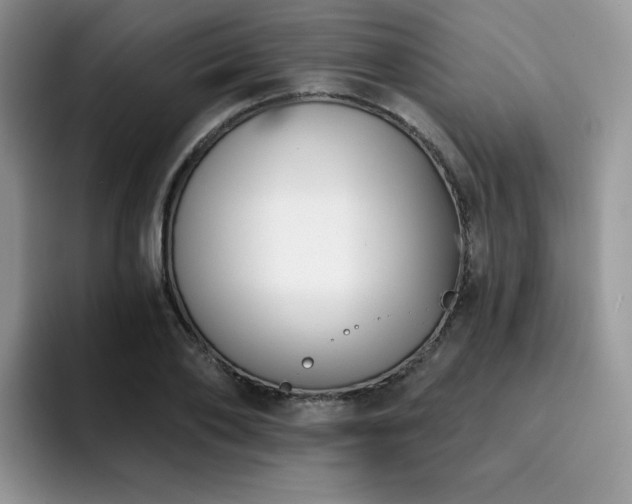 X0000094940886200711291351