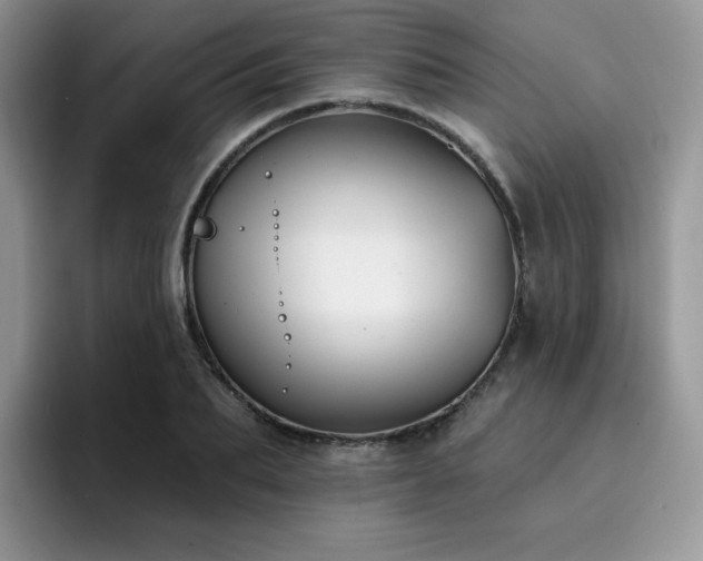 X0000094940887200711291351