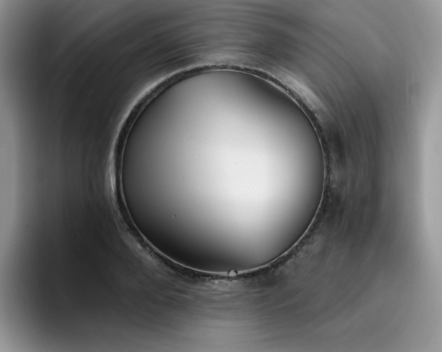 X0000094940888200711291351
