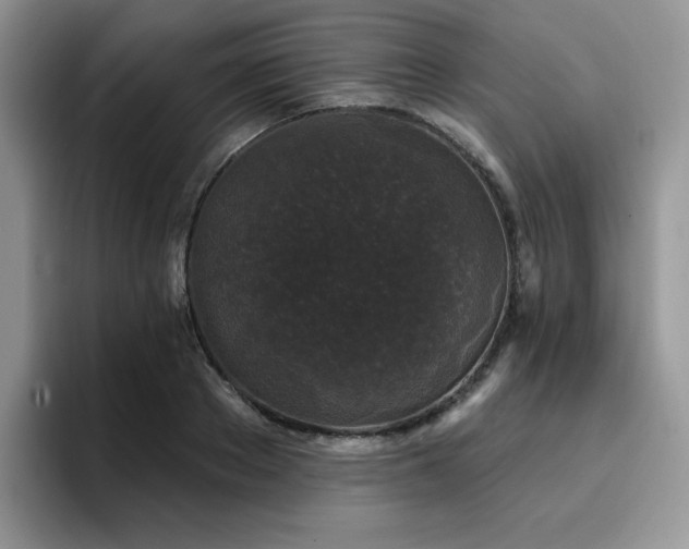 X0000094940889200711291351