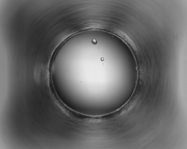 X0000094940890200711291351