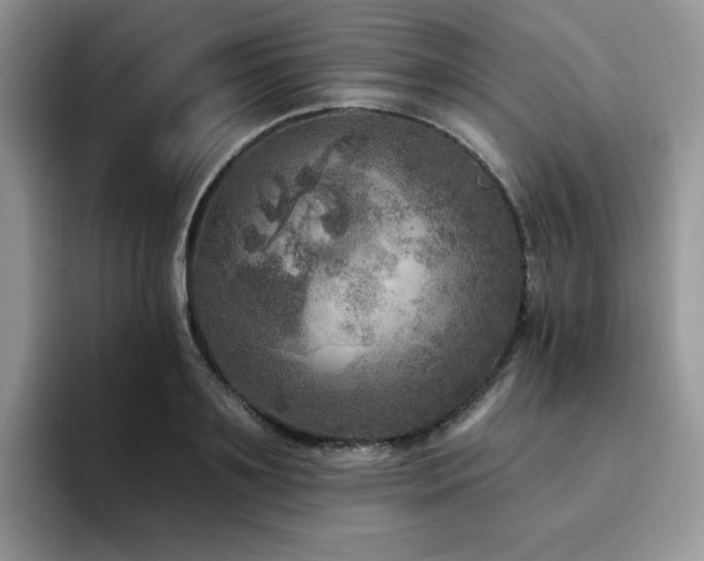 X0000094940891200711291351