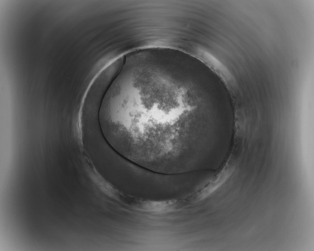 X0000094940892200711291351