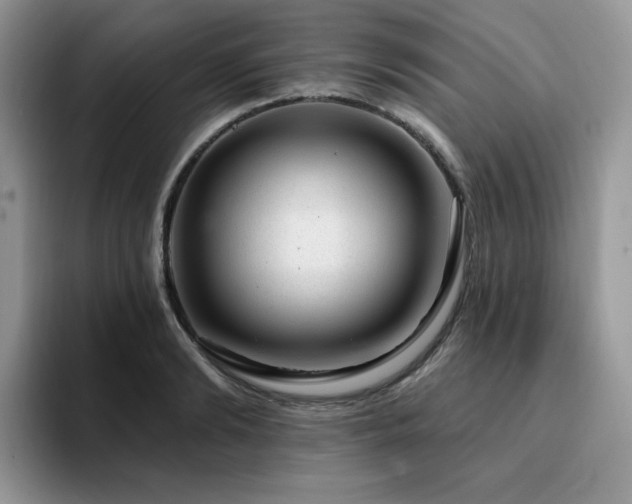 X0000094940894200711291351