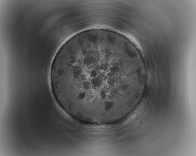 X0000094940895200711291351