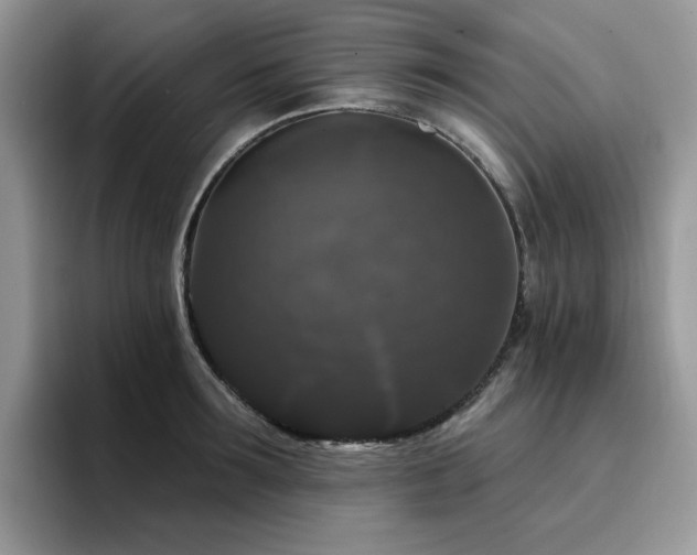X0000094940899200711291351