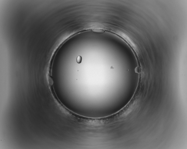 X0000094940901200711291351