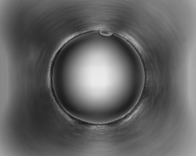 X0000094940902200711291351