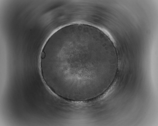 X0000094940903200711291351