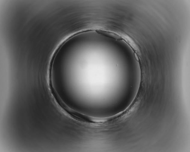 X0000094940904200711291351