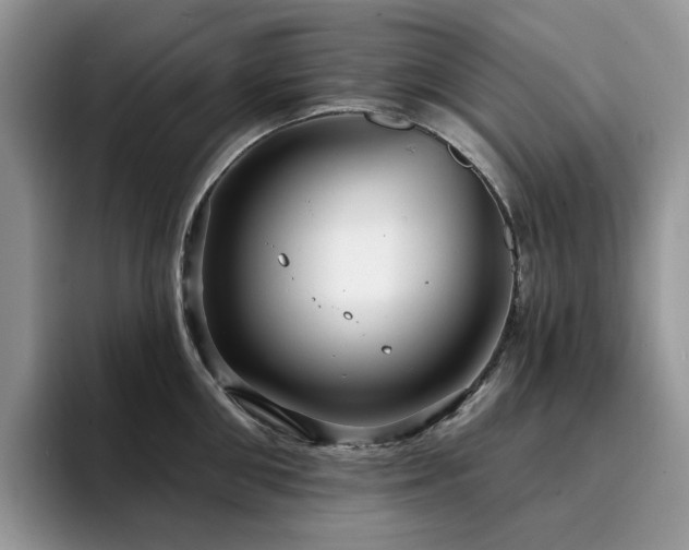 X0000094940906200711291351