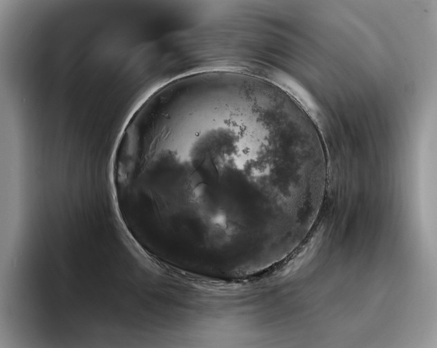 X0000094940907200711291351