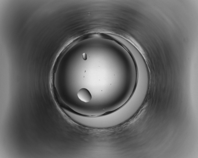 X0000094940909200711291351