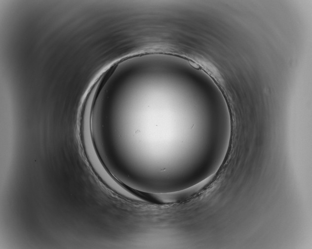 X0000094940912200711291351