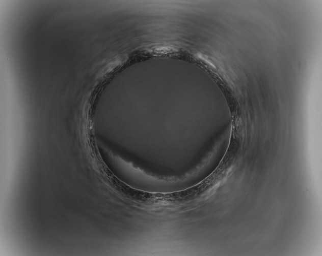 X0000094940913200711291350