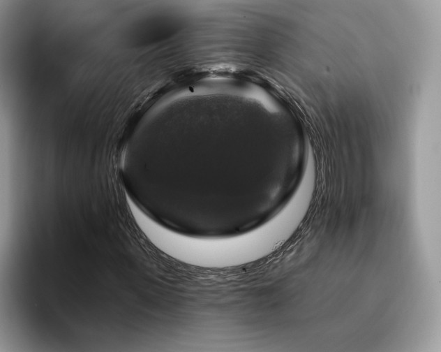 X0000094940915200711291350