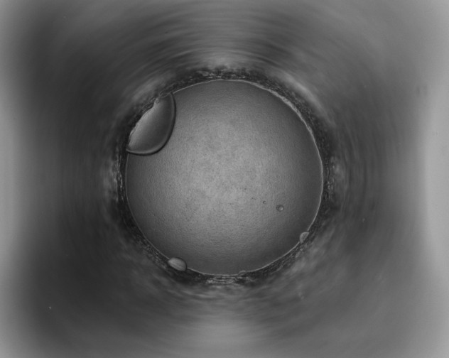 X0000094940918200711291350