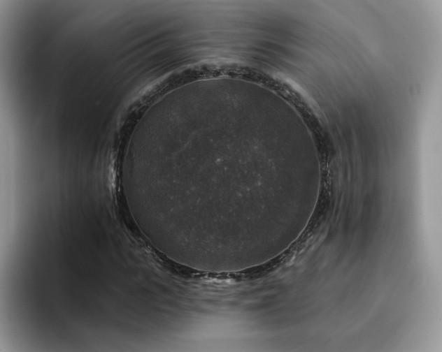 X0000094940919200711291350