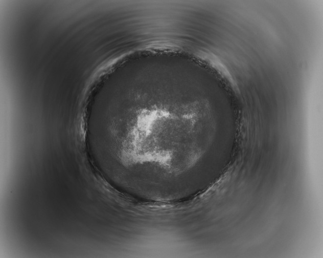 X0000094940920200711291350
