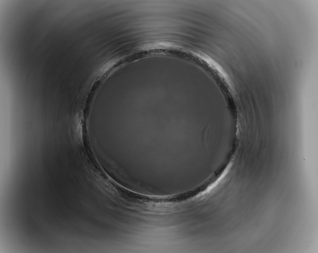 X0000094940921200711291350