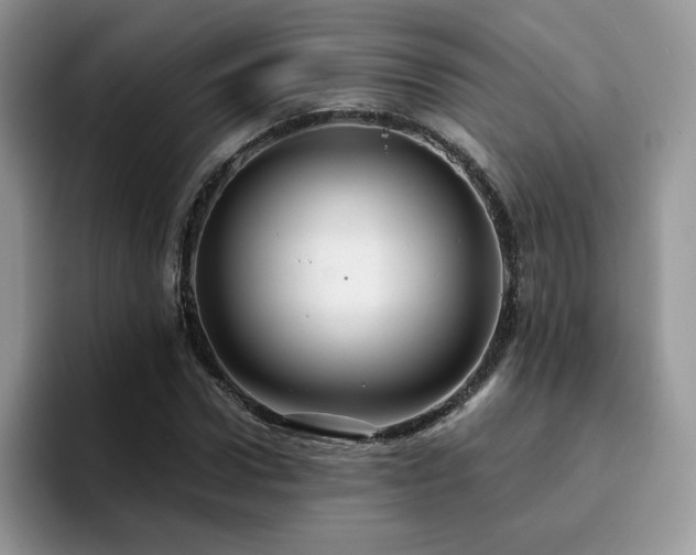 X0000094940922200711291350