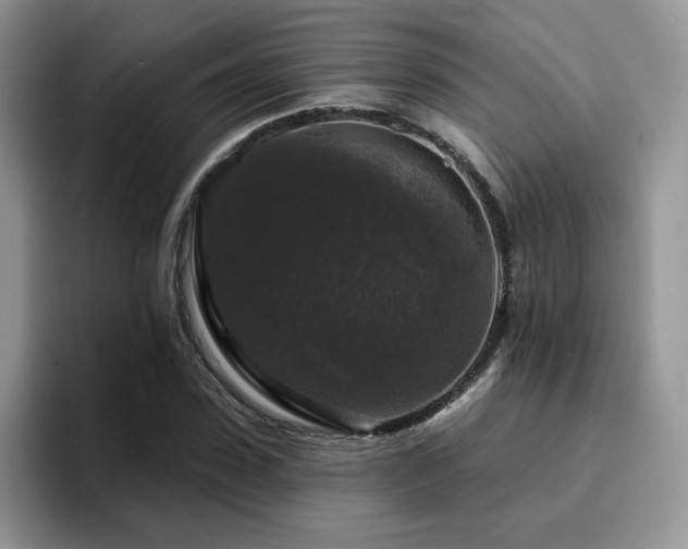 X0000094940923200711291350