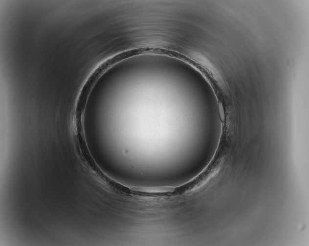 X0000094940924200711291350